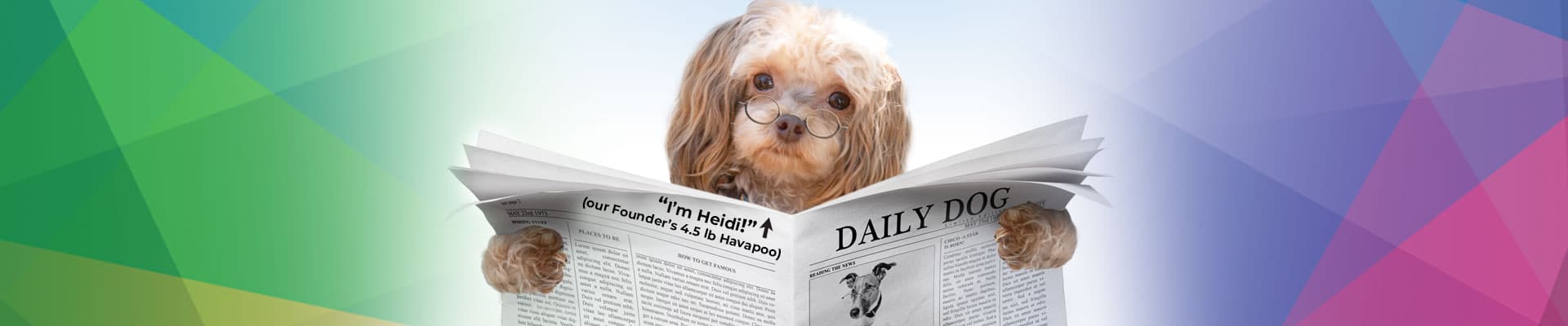 Kaleidoscope News Header with our founder's dog, Heidi, holding newspaper