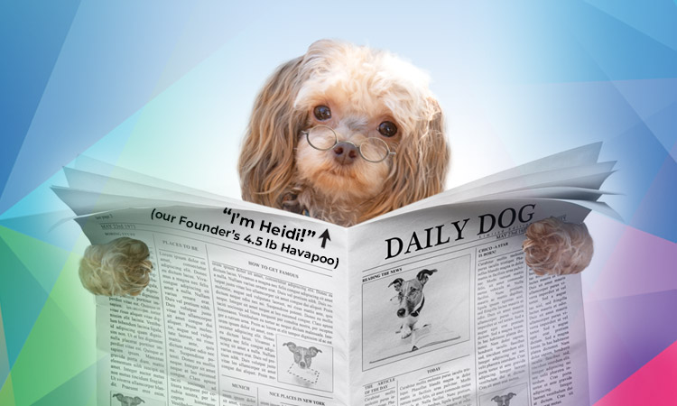 Kaleidoscope Mobile News Header: our founder's dog, Heidi, holding newspaper