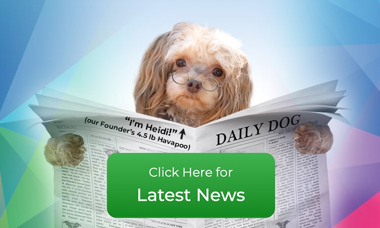 Button to Latest News with photo of our founder's dog, Heidi, holding newspaper